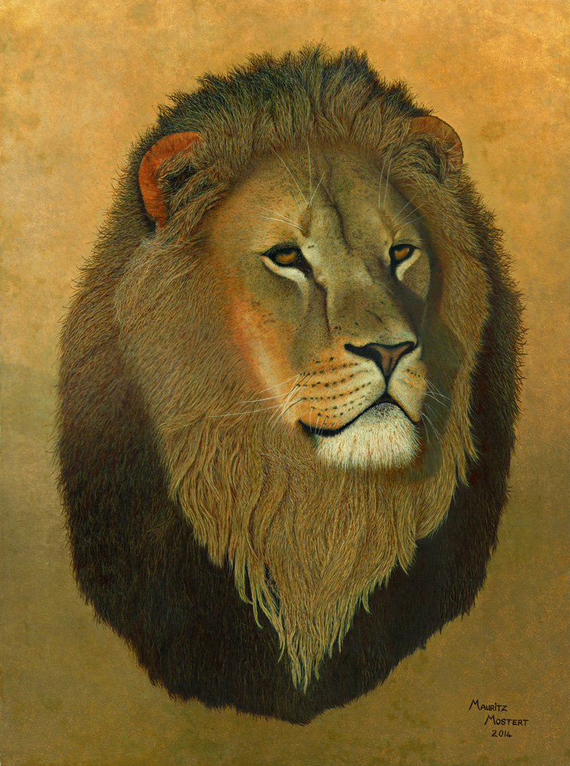 African-Lion-Art-in-Oils-Wildmoz.com