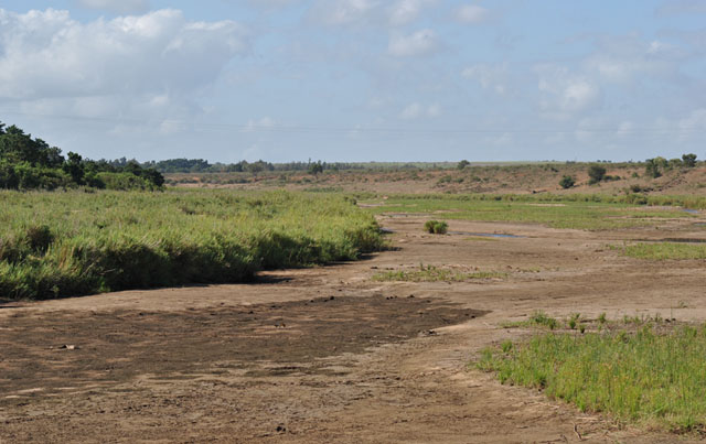 Wildmoz.com-Crocodile-River-Ngwenya-Kruger-Drought
