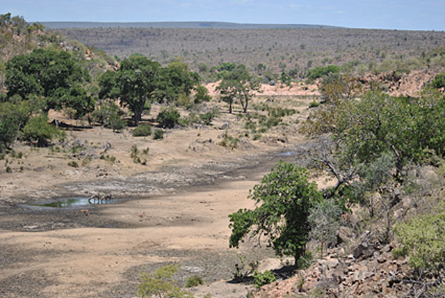 Kruger-Tragedy-empty-Orpen-Dam-Wildlife.com