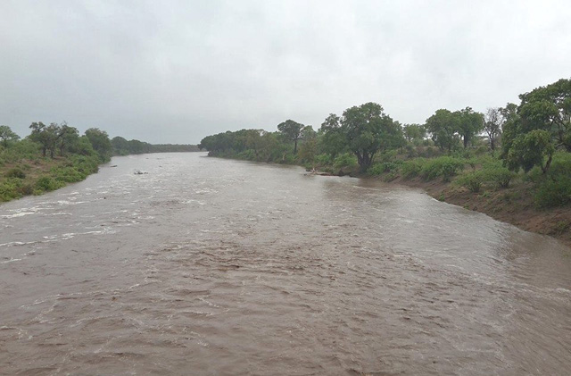 Shingwedsi-River-running-in-the-rain-drinking-water-Wildmoz.com
